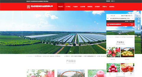 企業(yè)網(wǎng)站、程序軟件App解決方案